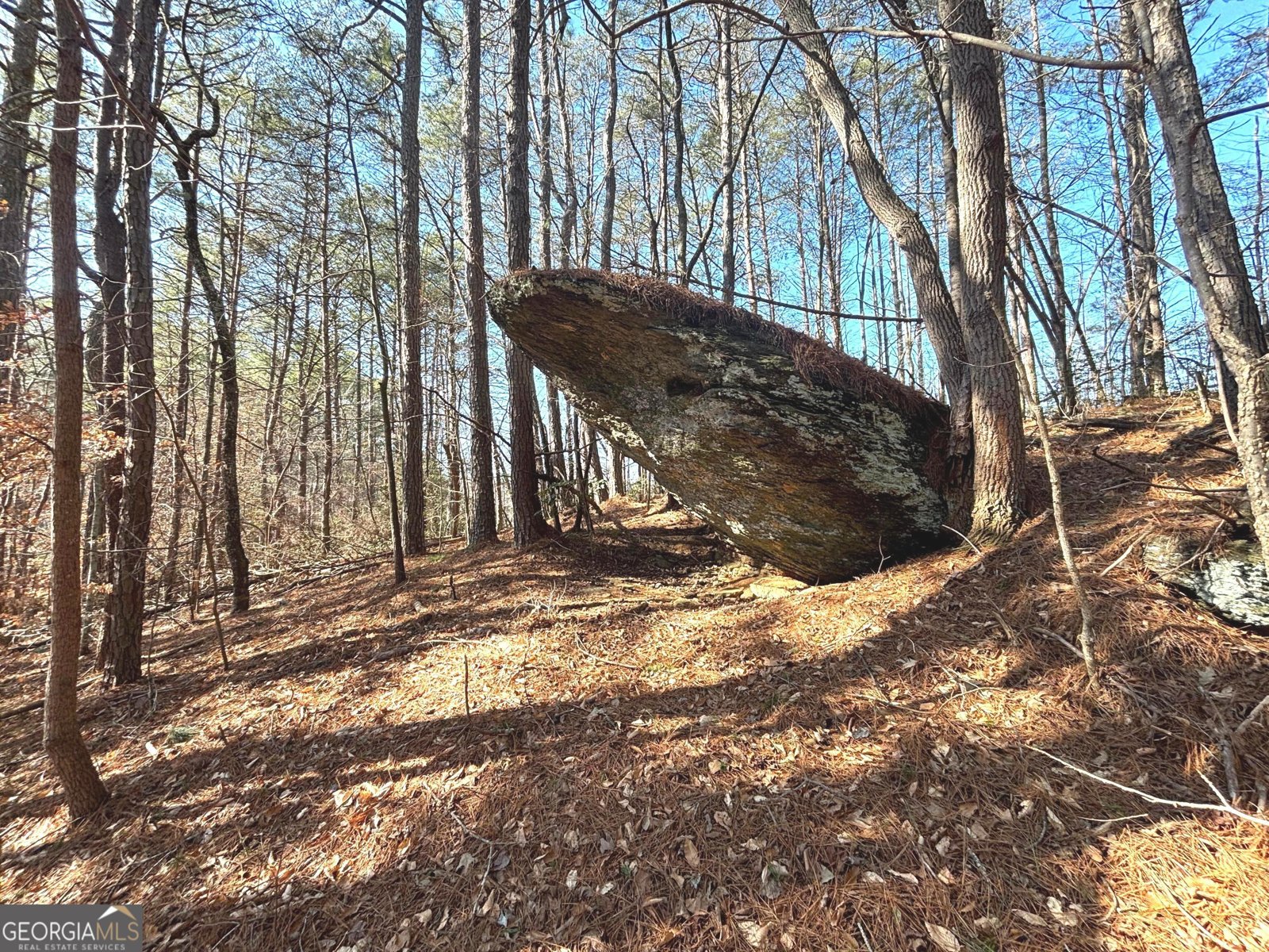 114 Addington Lane Waleska - Photo 18