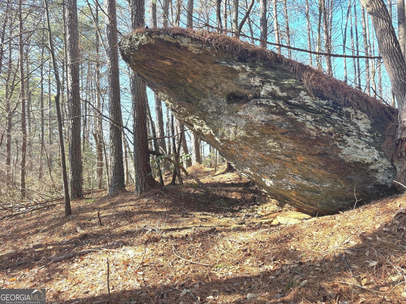 114 Addington Lane Waleska - Photo 19