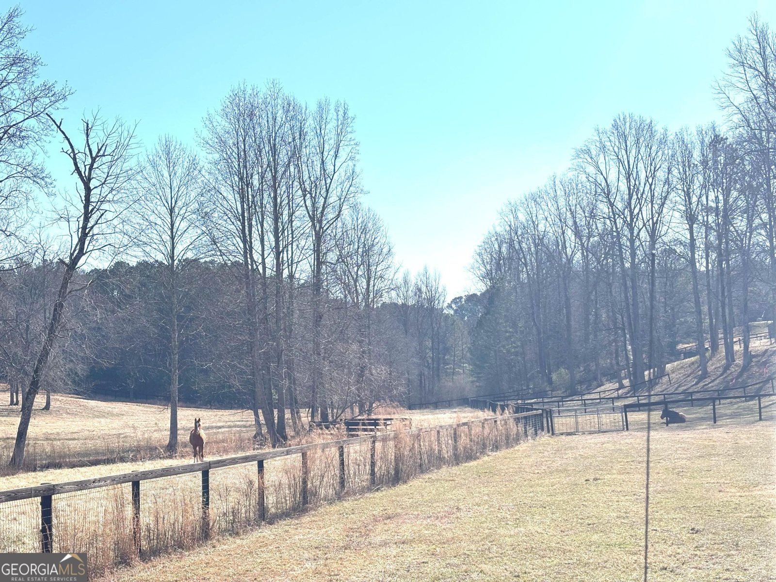 114 Addington Lane Waleska - Photo 20