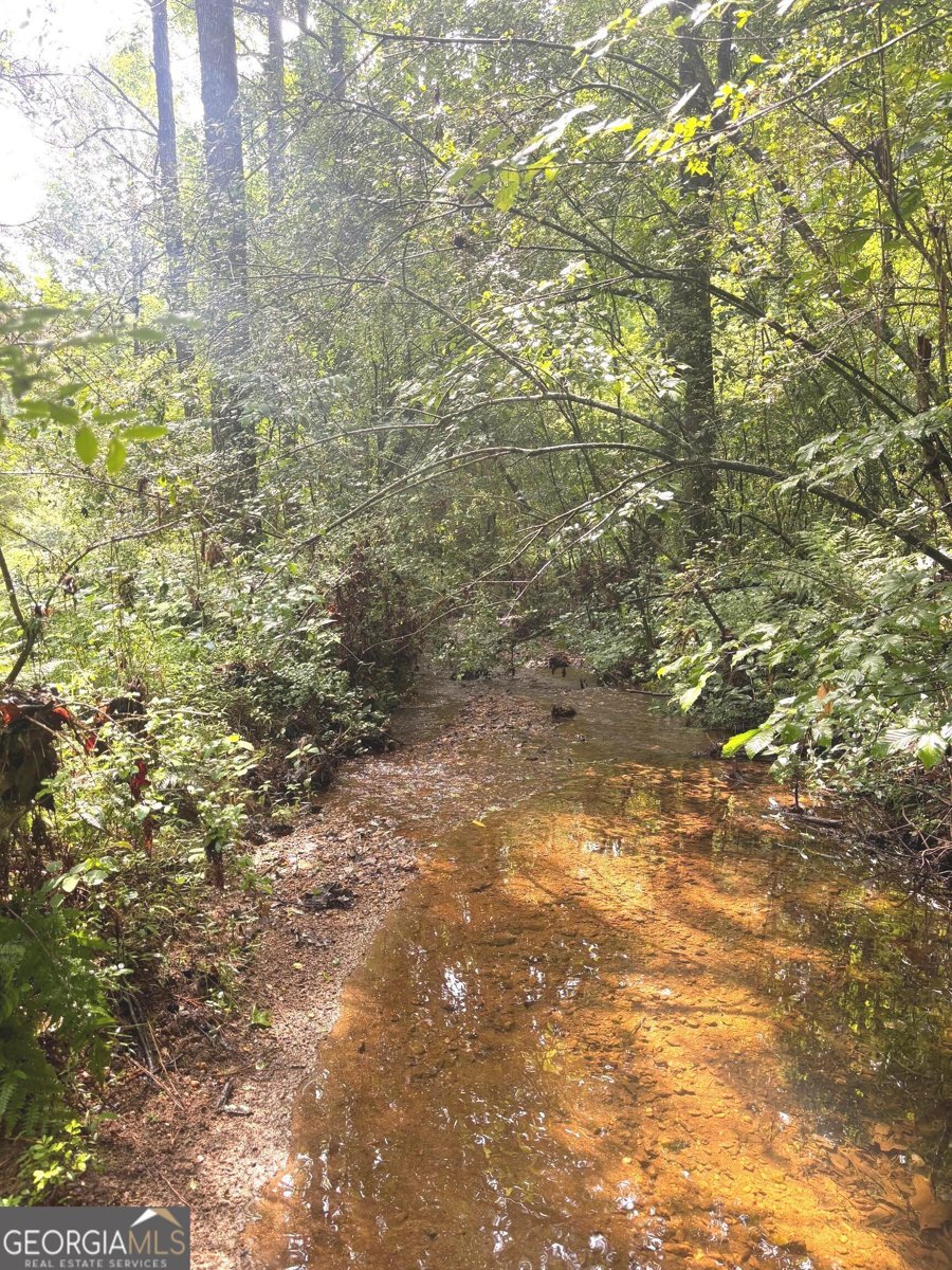 114 Addington Lane Waleska - Photo 23