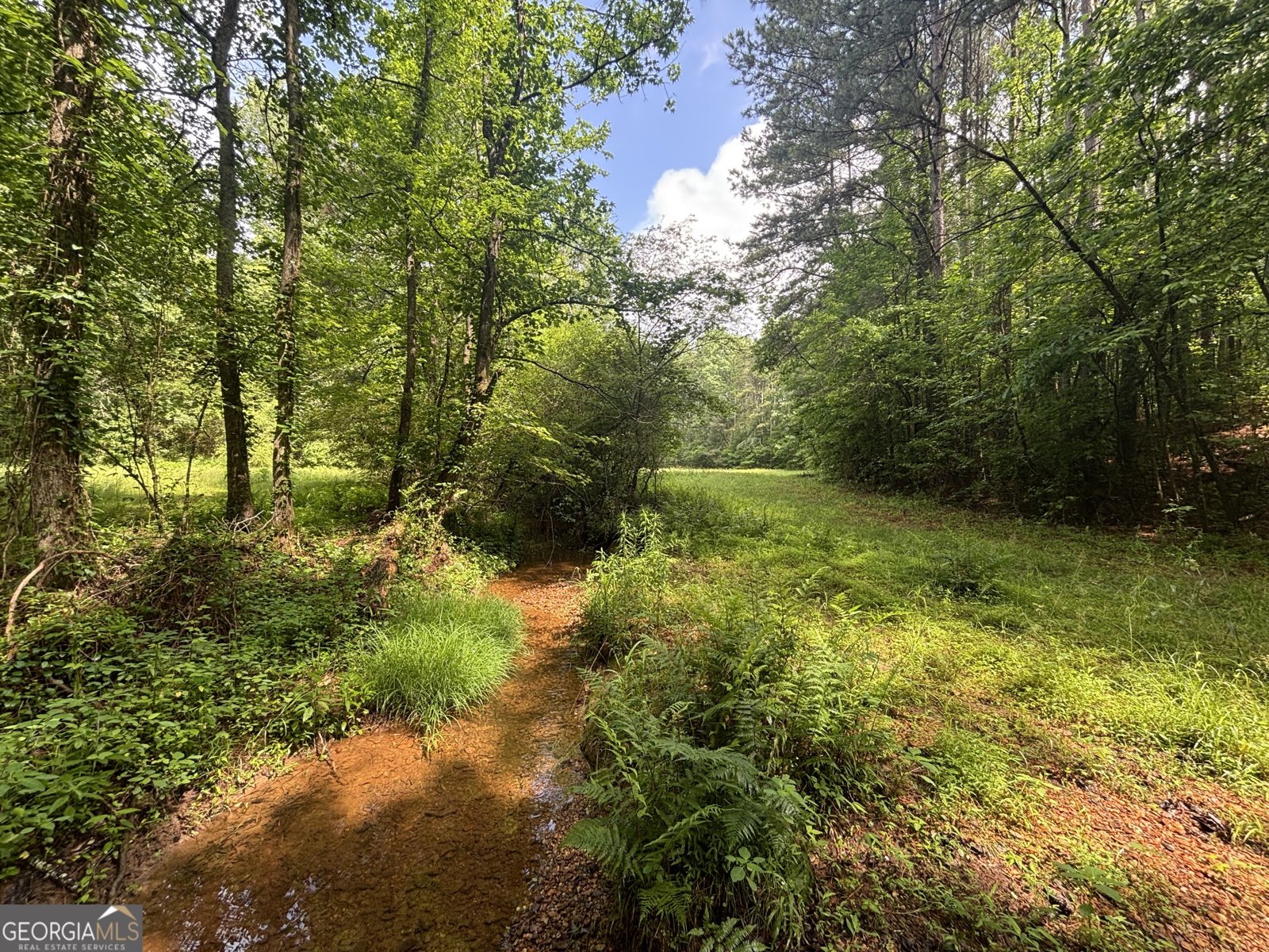 114 Addington Lane Waleska - Photo 24