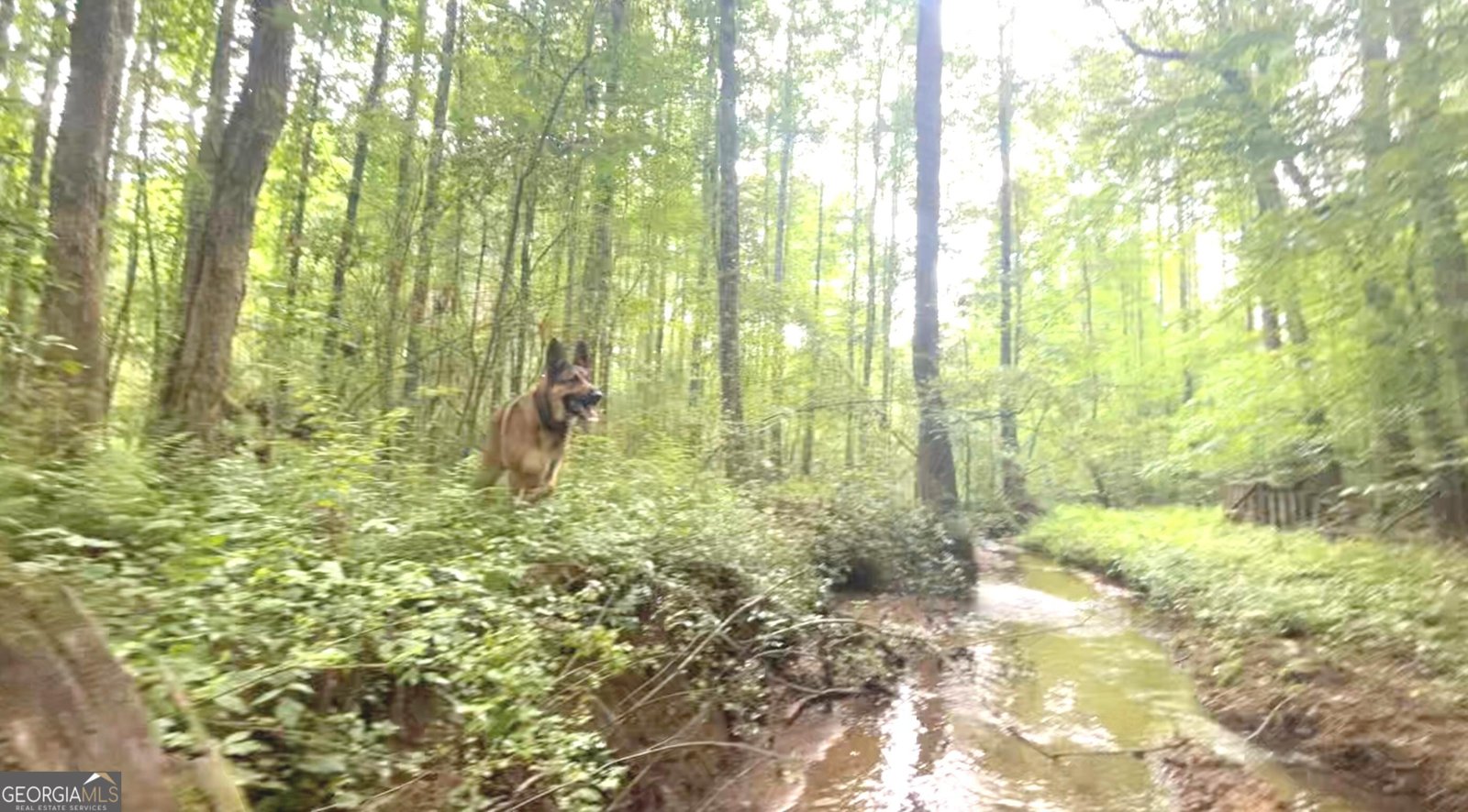 114 Addington Lane Waleska - Photo 29