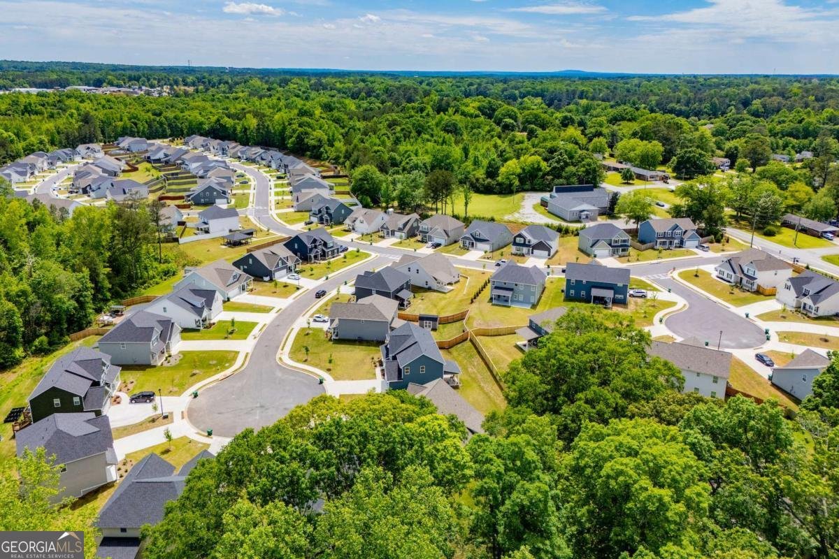 104 Kingston Circle Carrollton - Photo 67