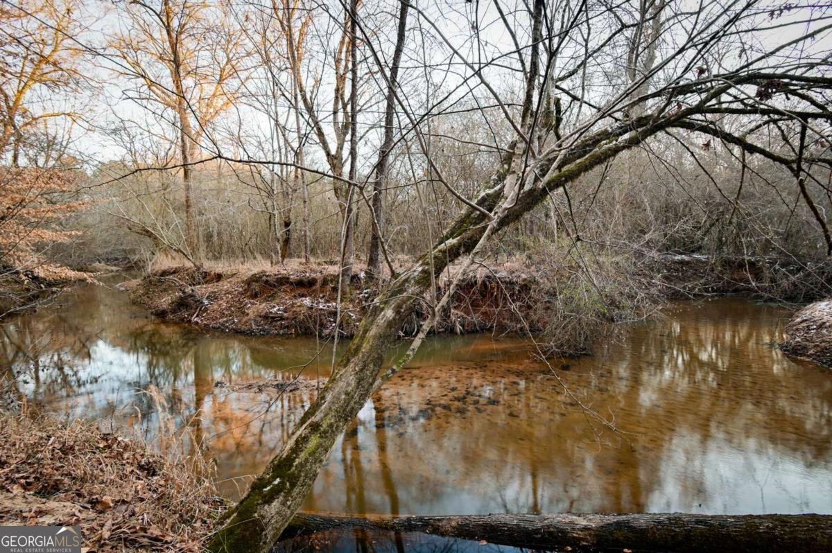 1208 Elberton Road Lexington - Photo 58