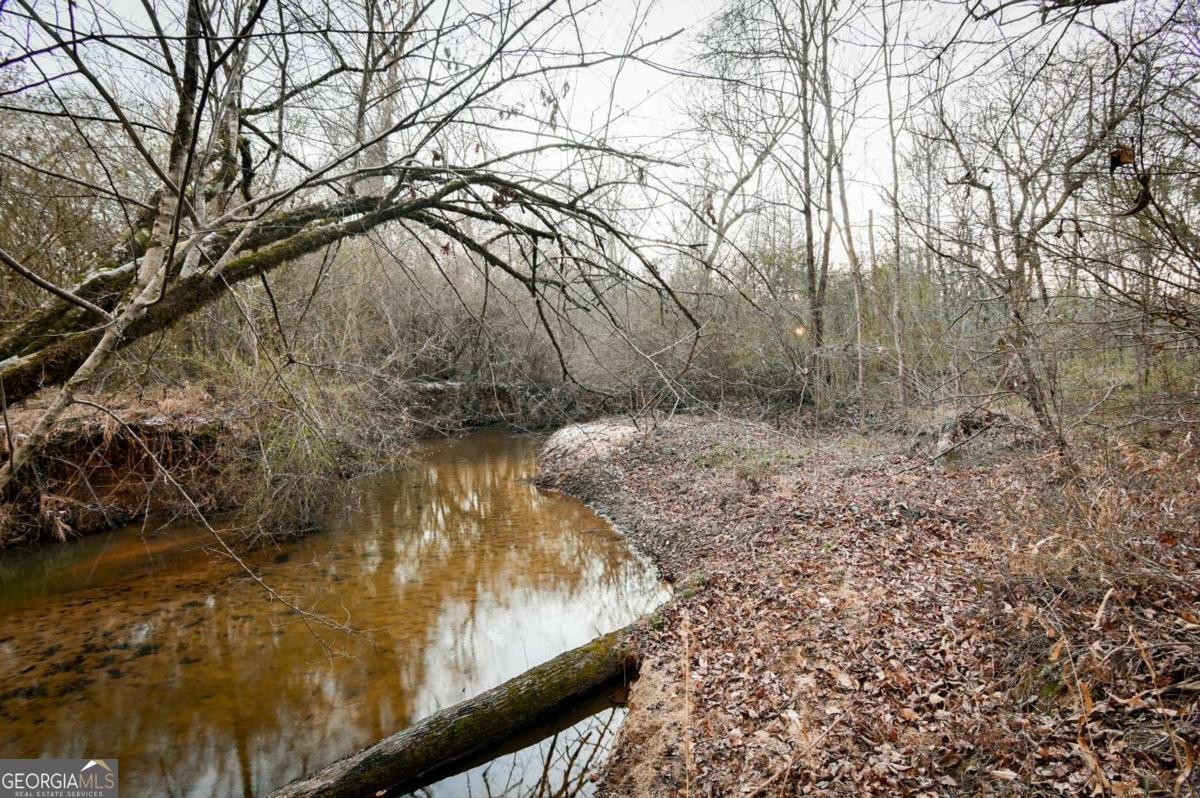 1208 Elberton Road Lexington - Photo 59