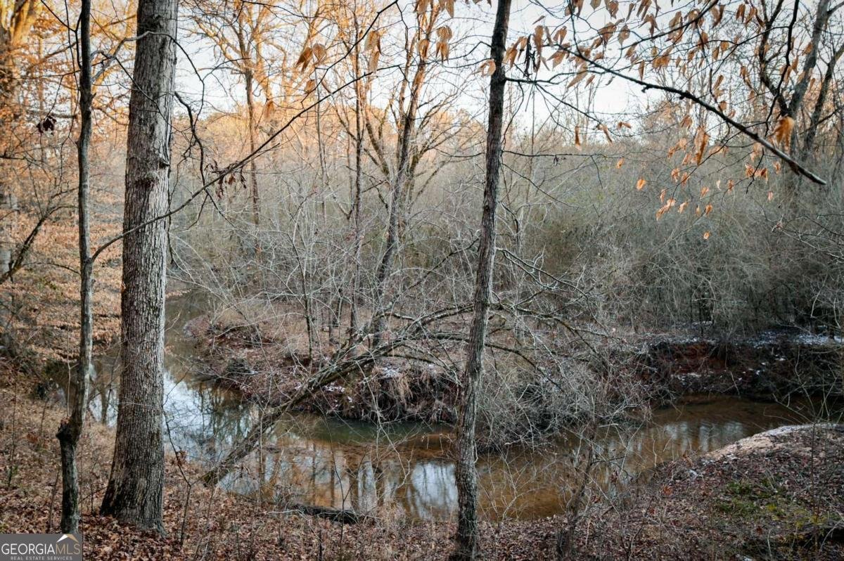 1208 Elberton Road Lexington - Photo 61