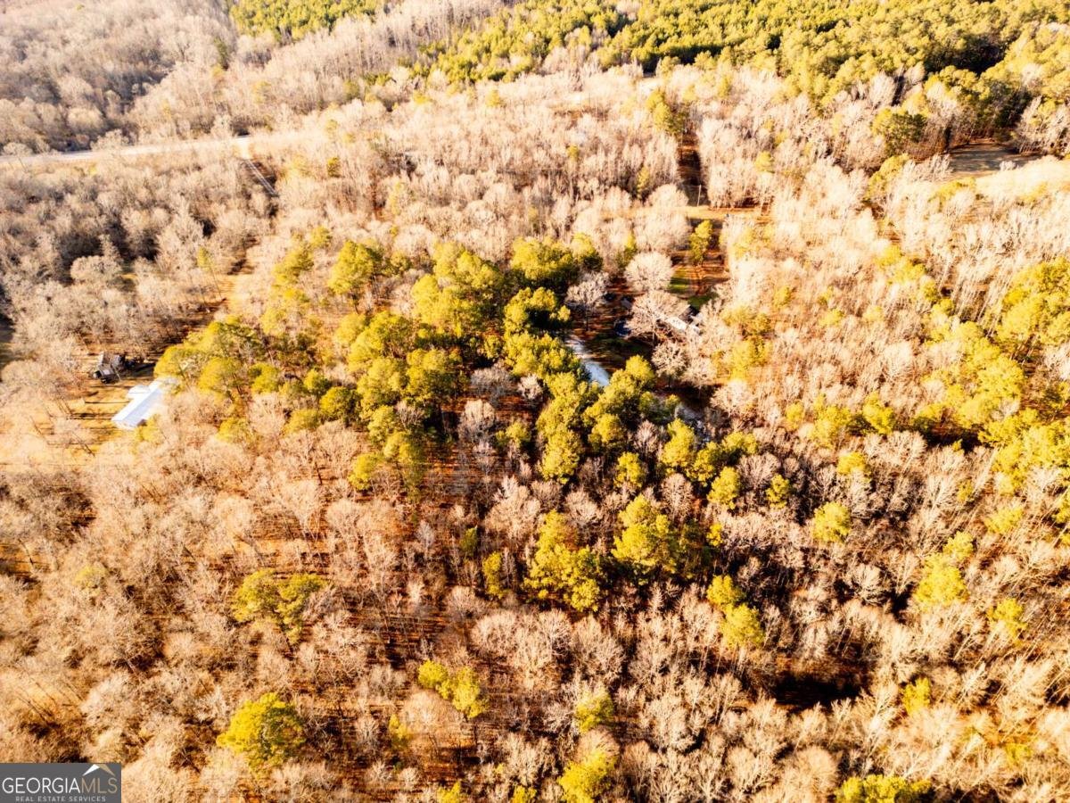 1208 Elberton Road Lexington - Photo 62