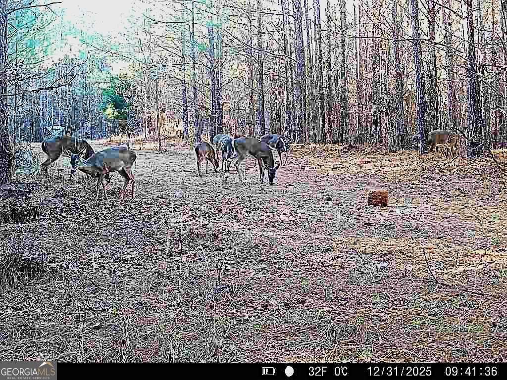 1208 Elberton Road Lexington - Photo 66