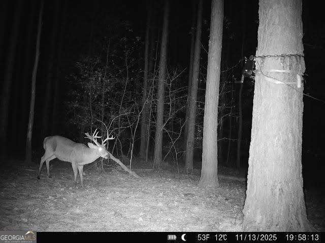 1208 Elberton Road Lexington - Photo 67