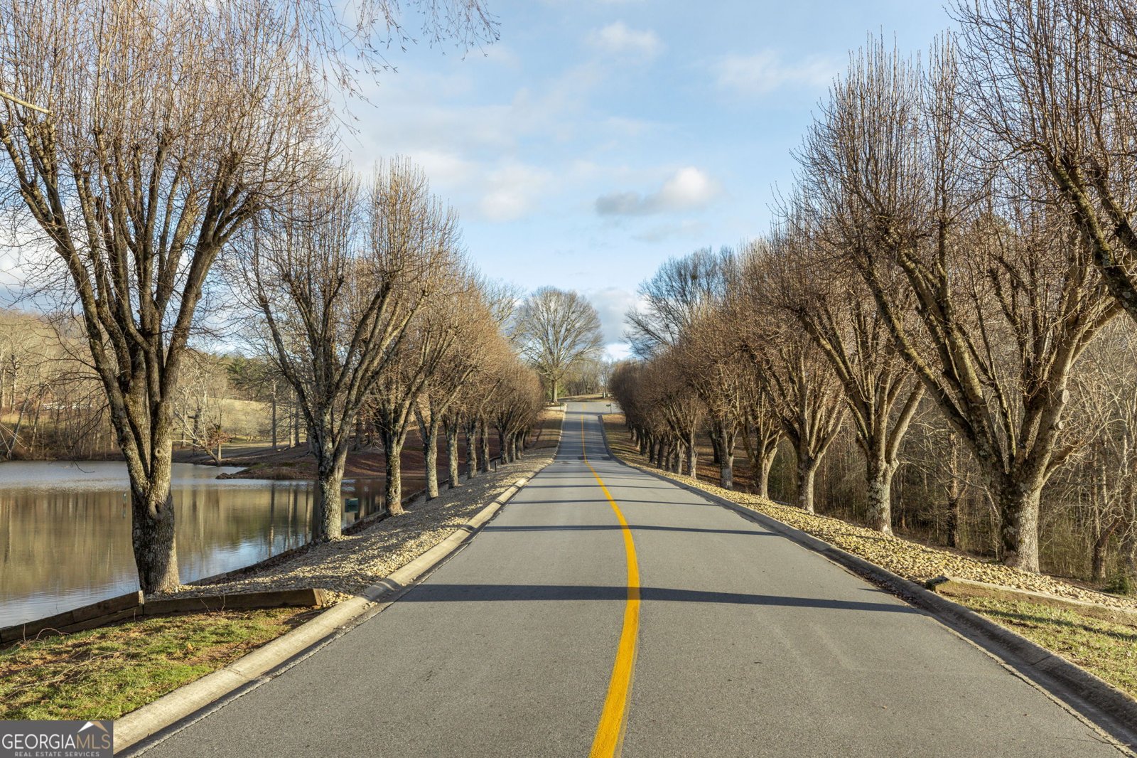 373 McIntosh Road Clarkesville - Photo 73