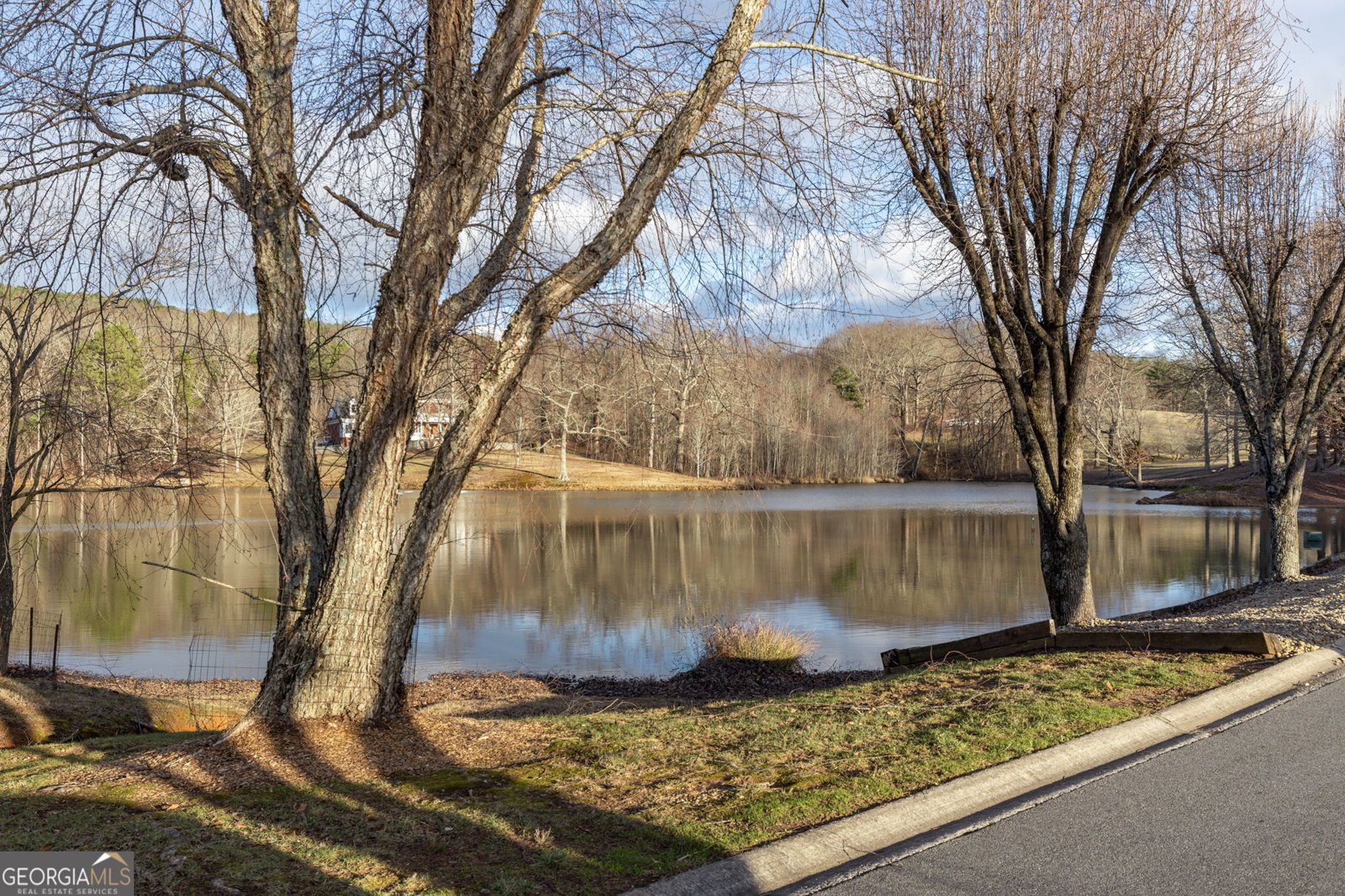 373 McIntosh Road Clarkesville - Photo 74