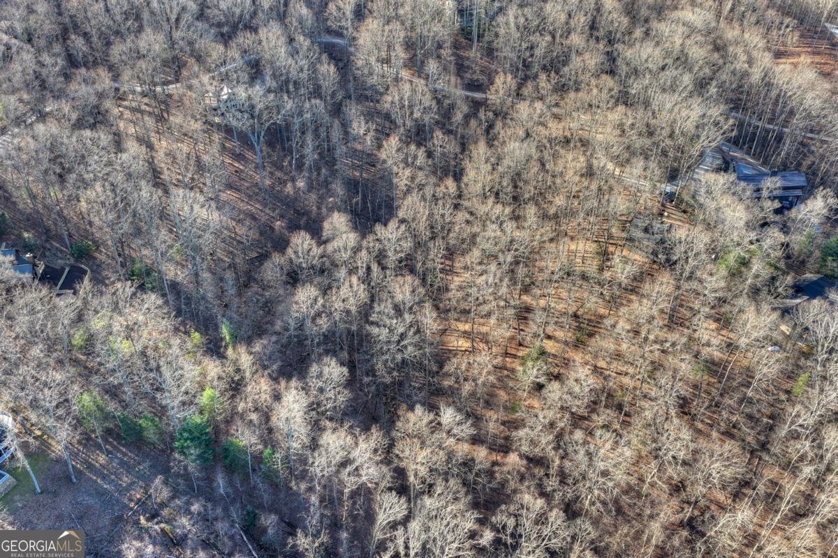 427 Green Ridge Road Blue Ridge - Photo 14