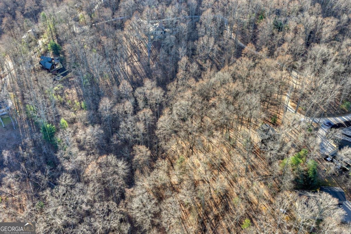 427 Green Ridge Road Blue Ridge - Photo 40