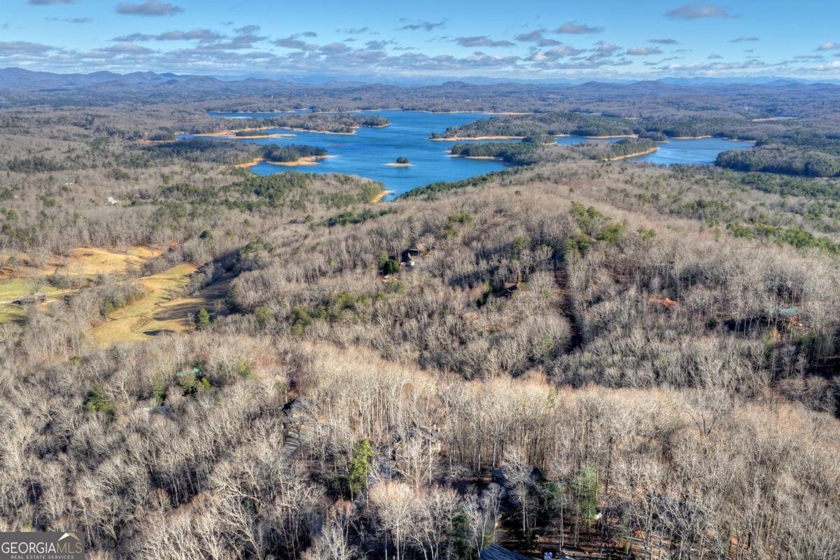 427 Green Ridge Road Blue Ridge - Photo 46