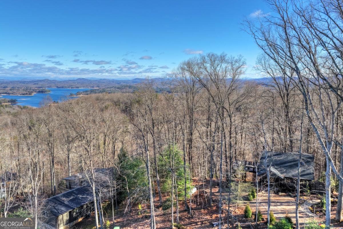 427 Green Ridge Road Blue Ridge - Photo 48