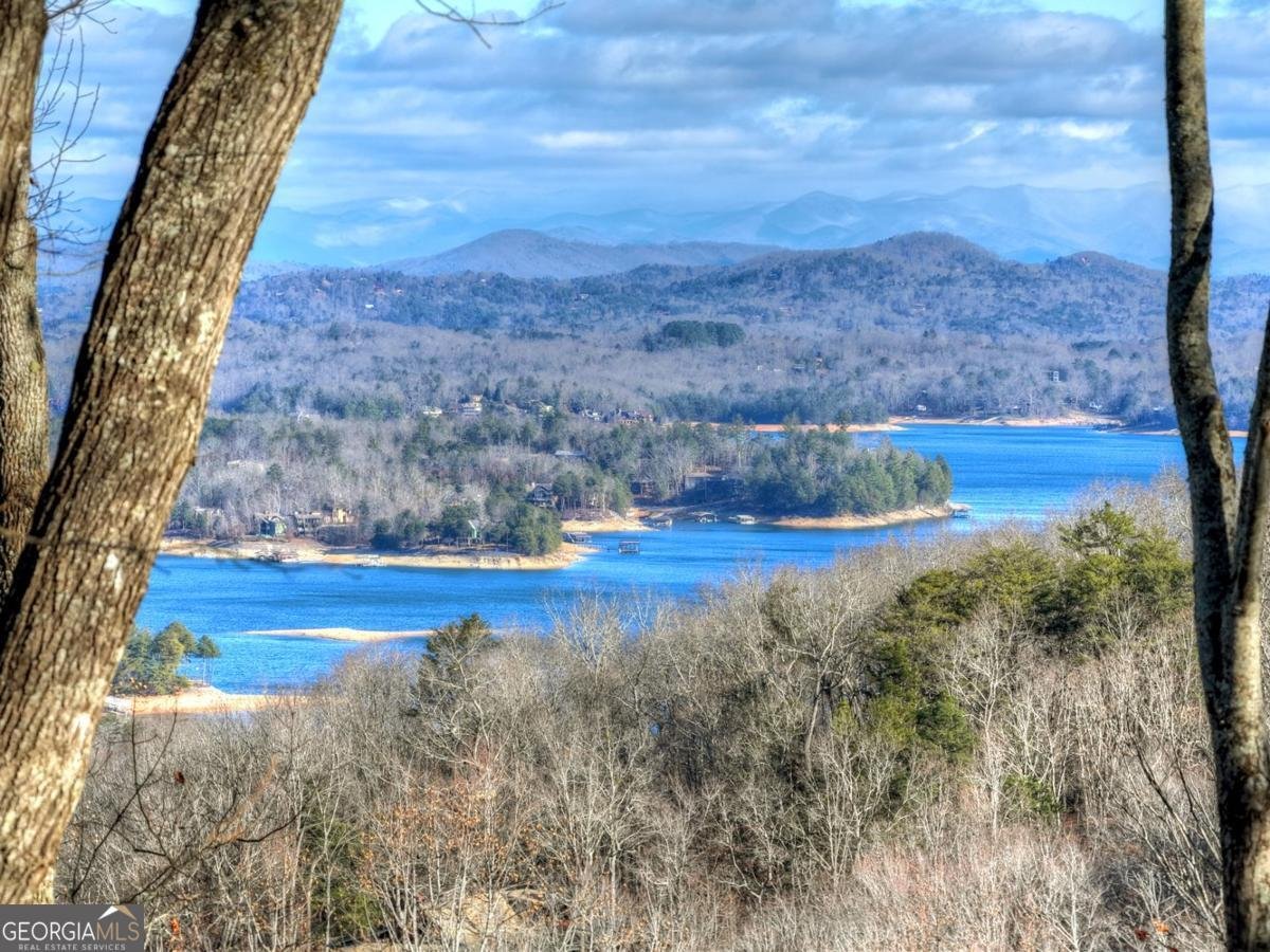 427 Green Ridge Road Blue Ridge - Photo 53