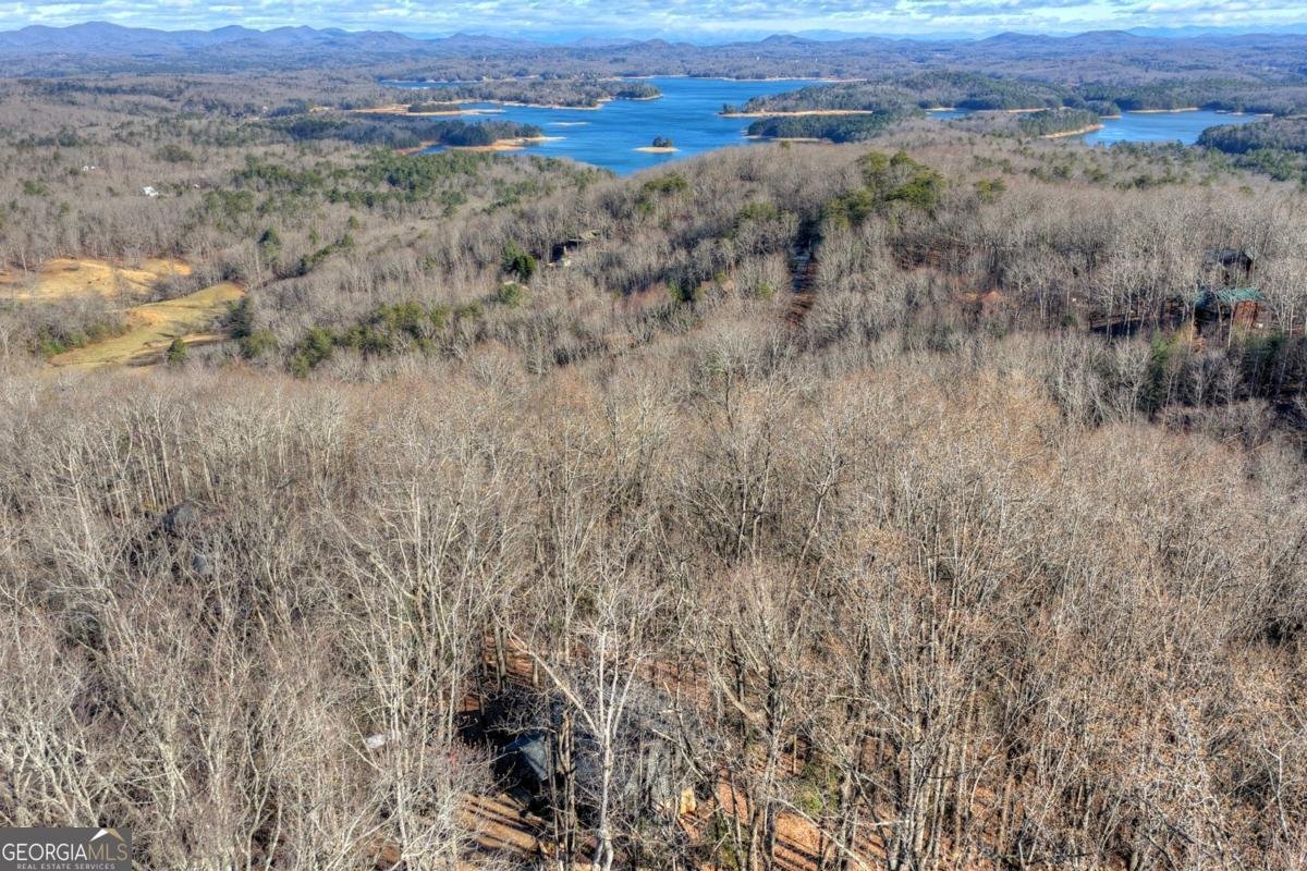 427 Green Ridge Road Blue Ridge - Photo 6