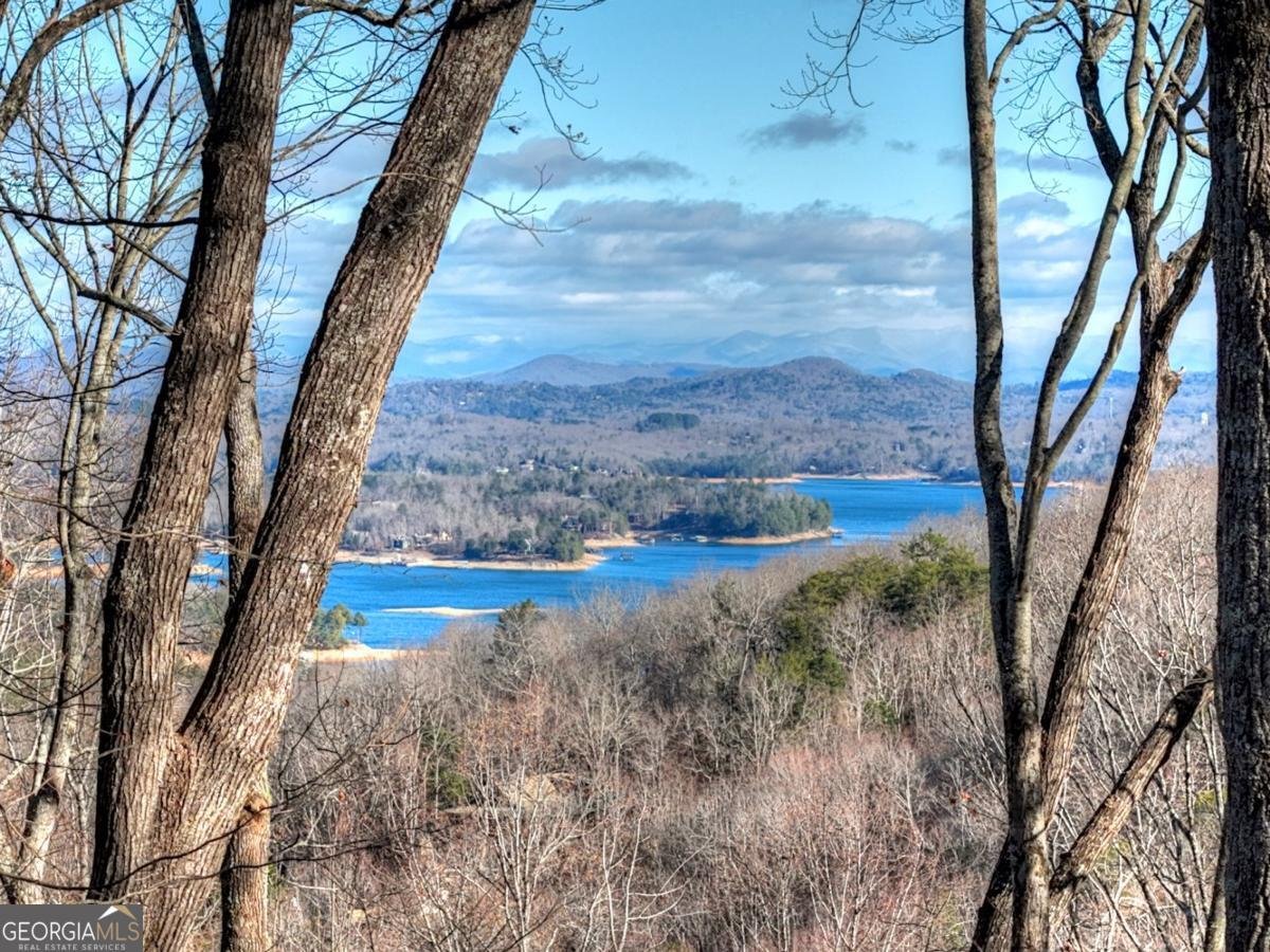 427 Green Ridge Road Blue Ridge - Photo 8