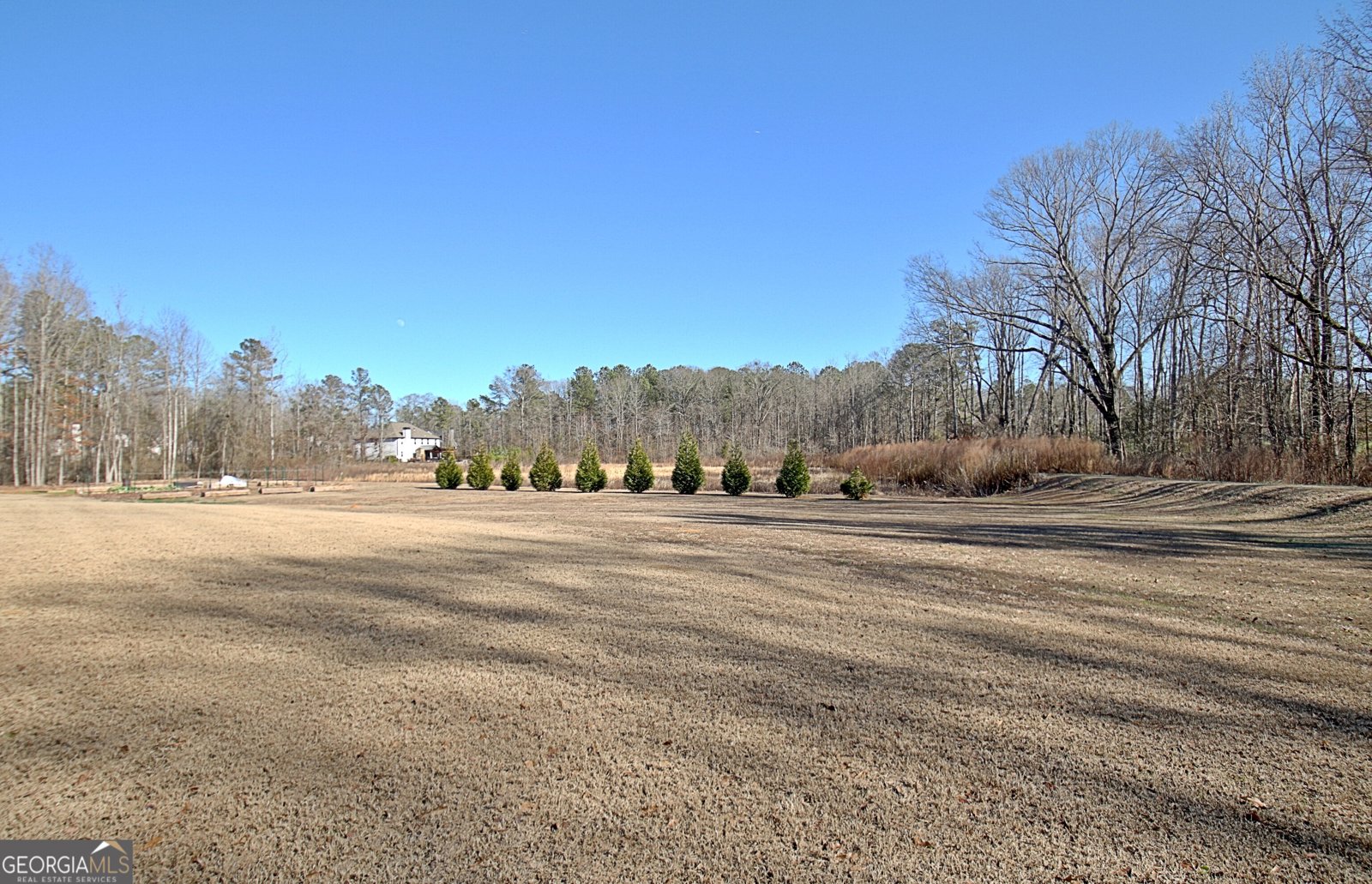 30 Ashwood Court Senoia - Photo 61