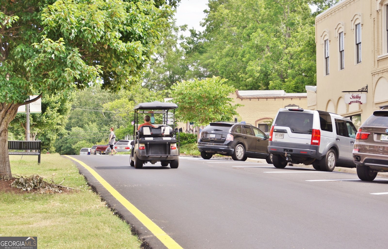 30 Ashwood Court Senoia - Photo 65