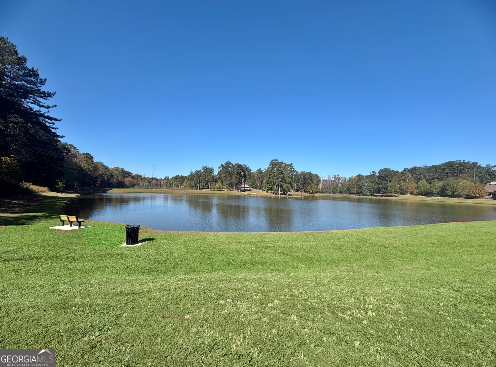 30 Ashwood Court Senoia - Photo 66