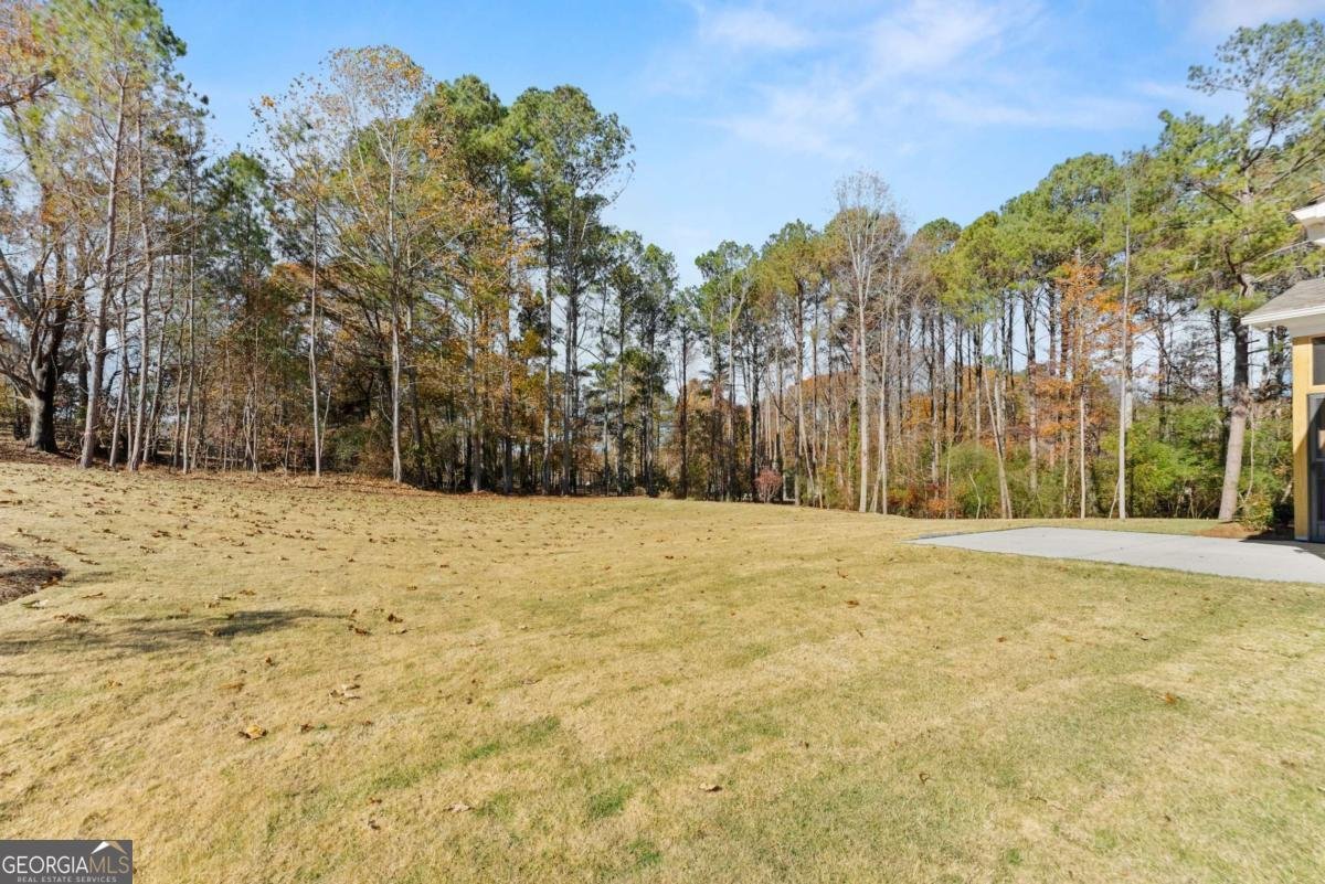 6375 Little Mill Road Gainesville - Photo 61