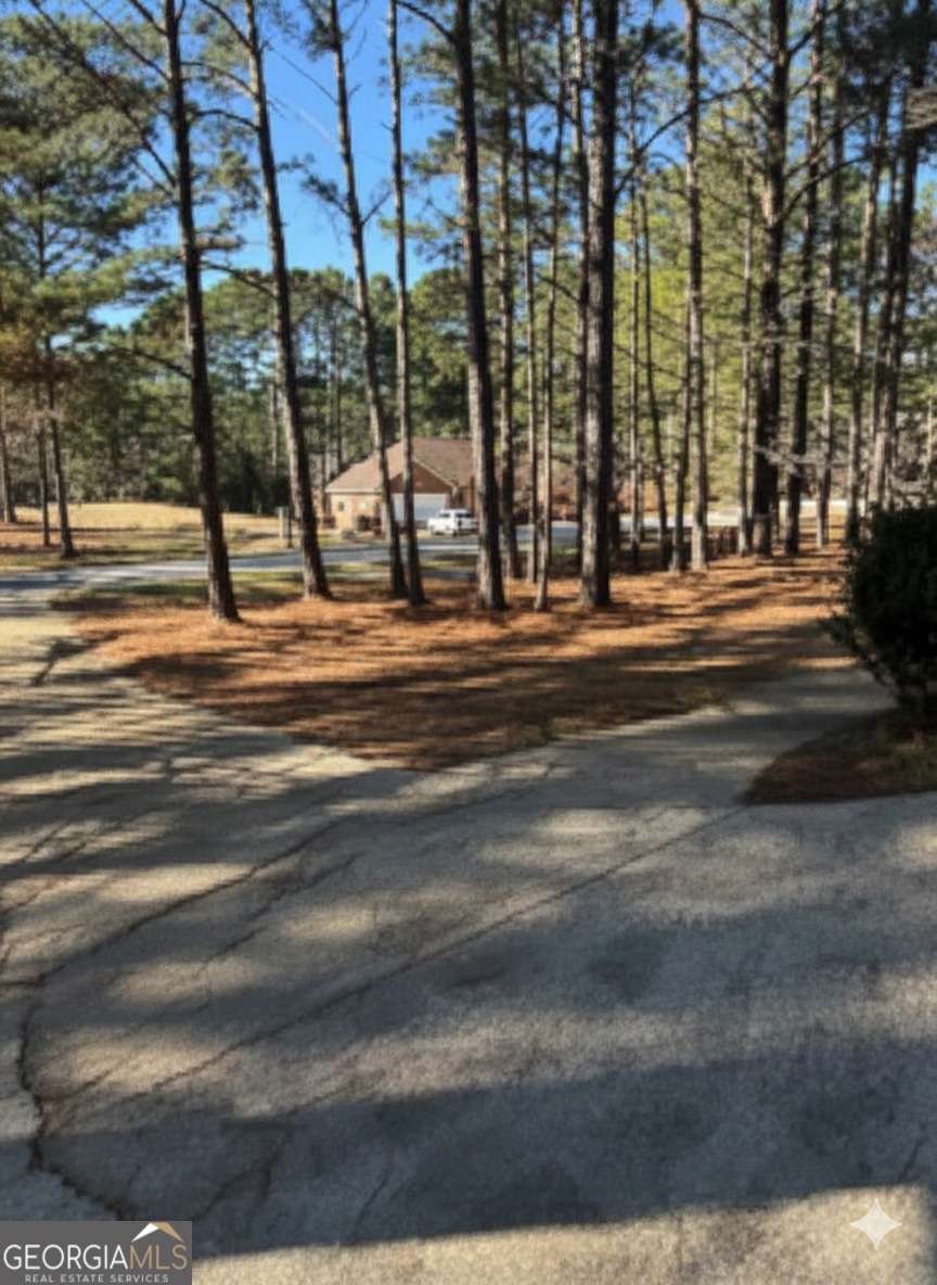 350 Mountain Creek Drive Hamilton - Photo 35