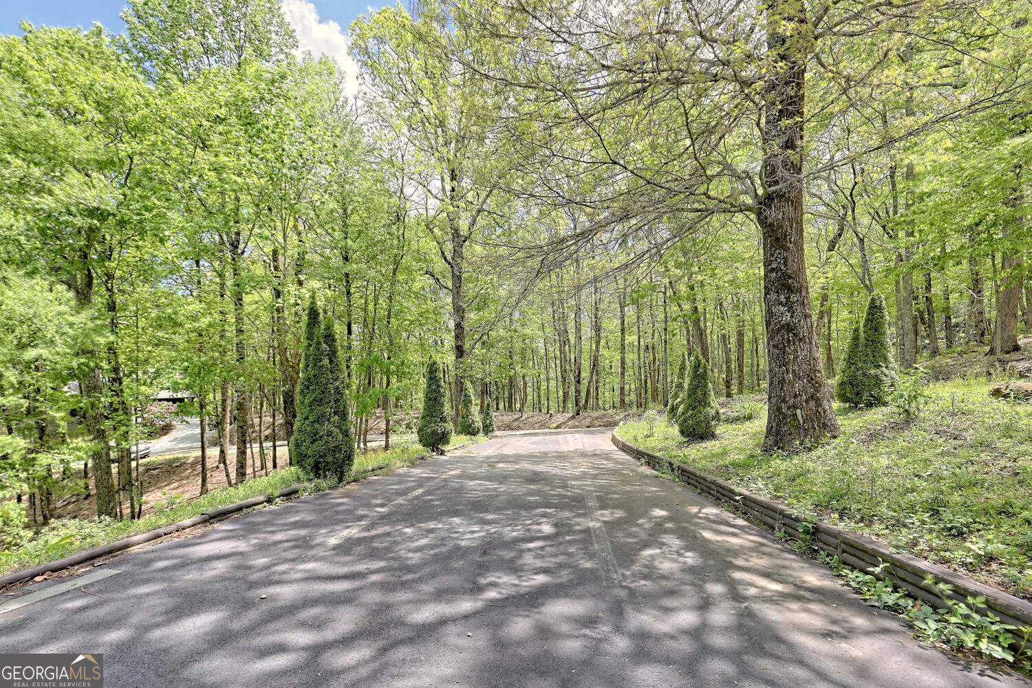 412 Bayberry Lane Dillard - Photo 49