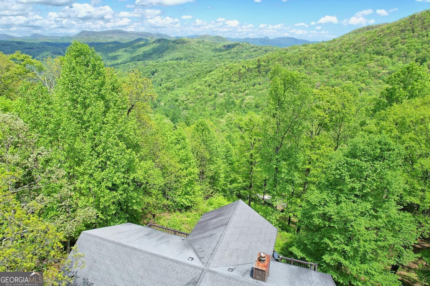 412 Bayberry Lane Dillard - Photo 50