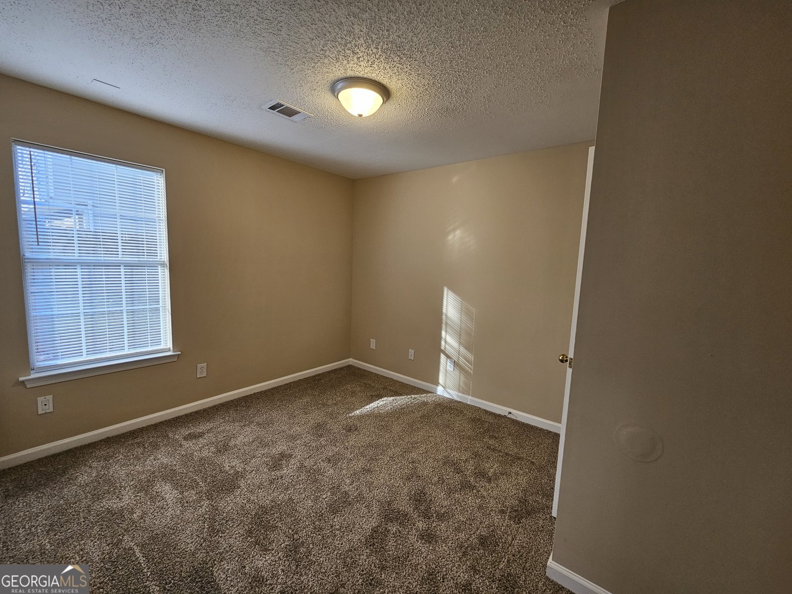 619 Fieldcrest Drive McDonough - Photo 20