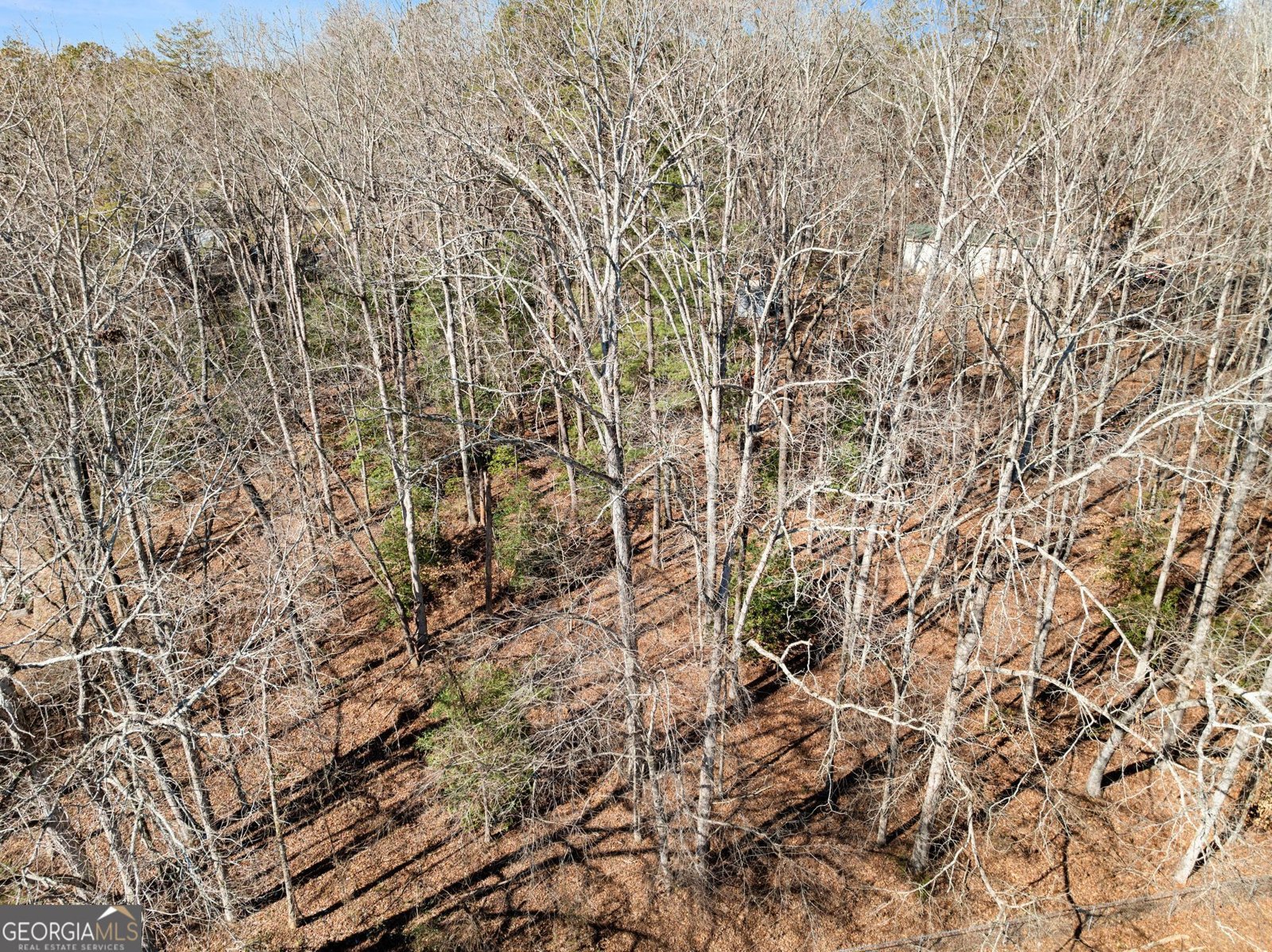 815 Copper Mines Road Murrayville - Photo 26