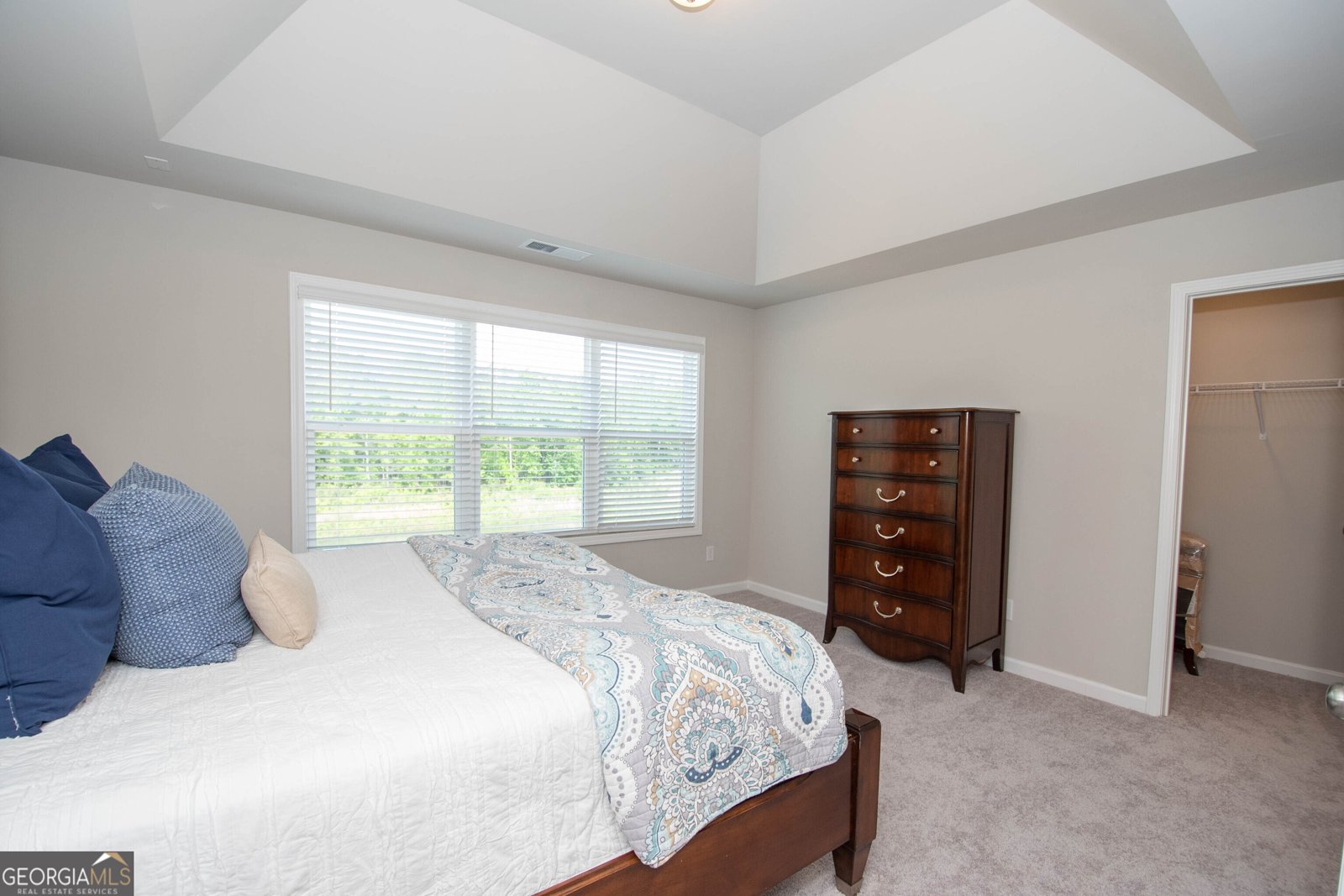 33 Cobalt Lane Newnan - Photo 11