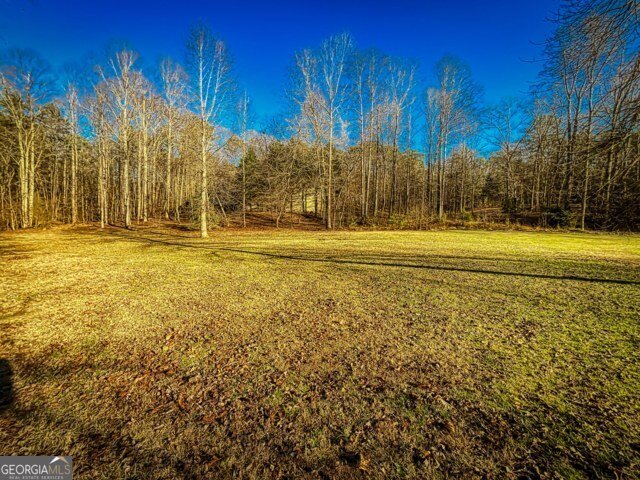 188 Clear Creek Valley Drive Ellijay - Photo 28