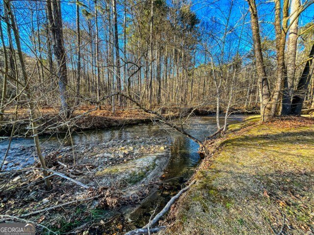 188 Clear Creek Valley Drive Ellijay - Photo 52
