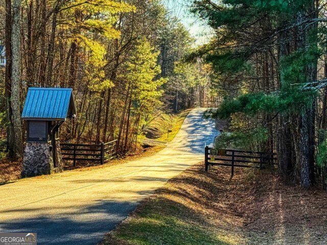 188 Clear Creek Valley Drive Ellijay - Photo 53