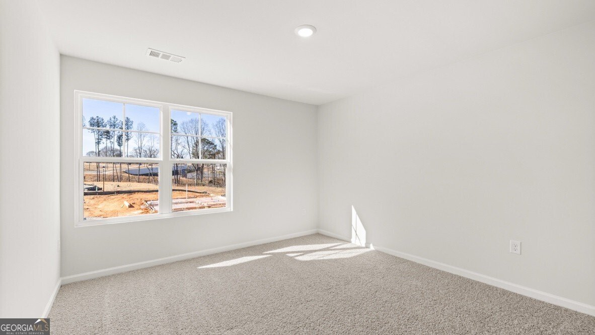 104 Biltmore Place Braselton - Photo 21