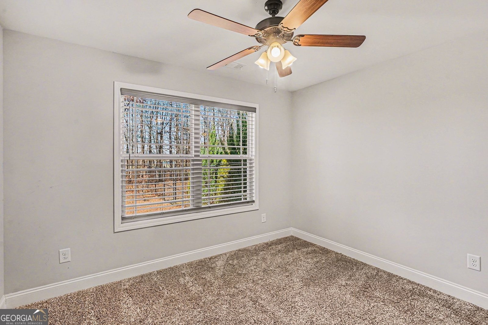 225 Cole Forest Boulevard Barnesville - Photo 26