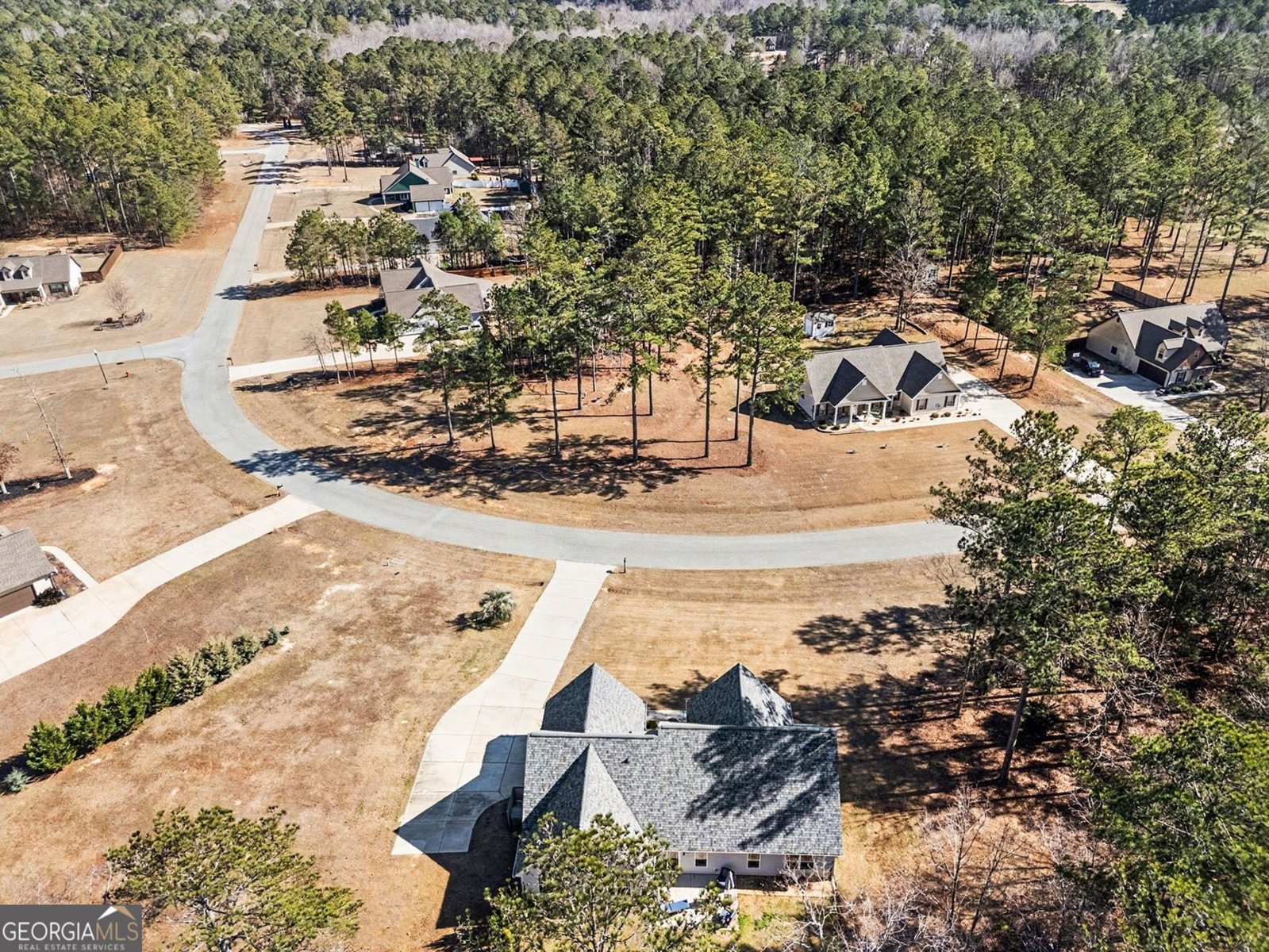 225 Cole Forest Boulevard Barnesville - Photo 41