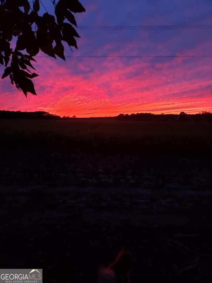 225 Cole Forest Boulevard Barnesville - Photo 43