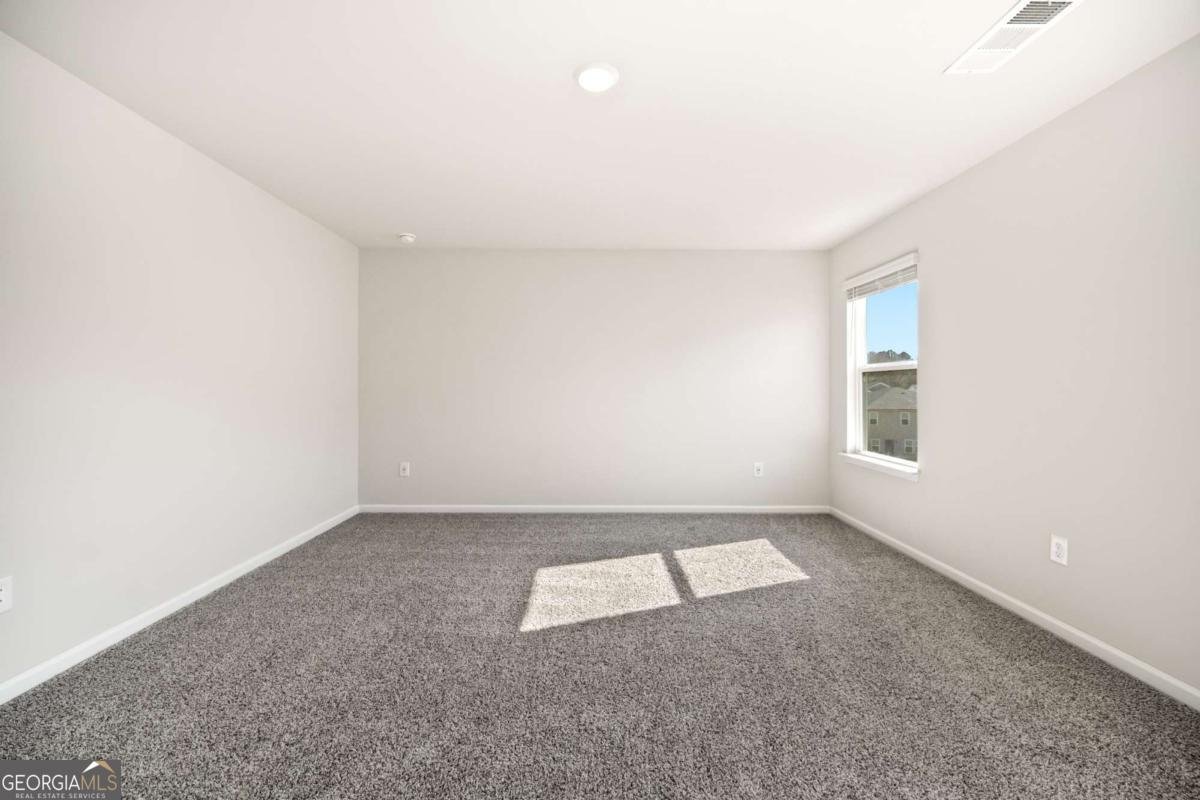 319 Canal Way Woodstock - Photo 27