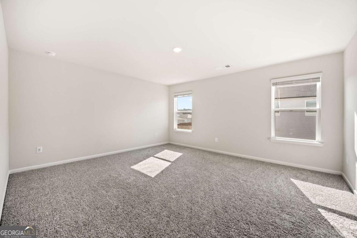 319 Canal Way Woodstock - Photo 34