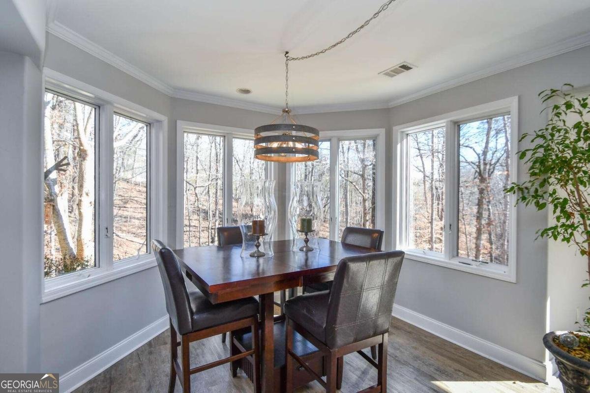 94 DAWSON Drive Dawsonville - Photo 48