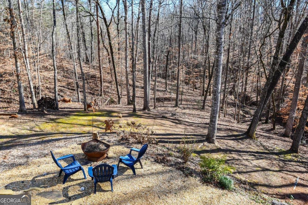 94 DAWSON Drive Dawsonville - Photo 64