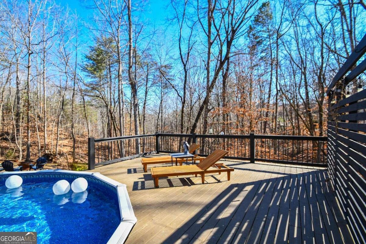 94 DAWSON Drive Dawsonville - Photo 66