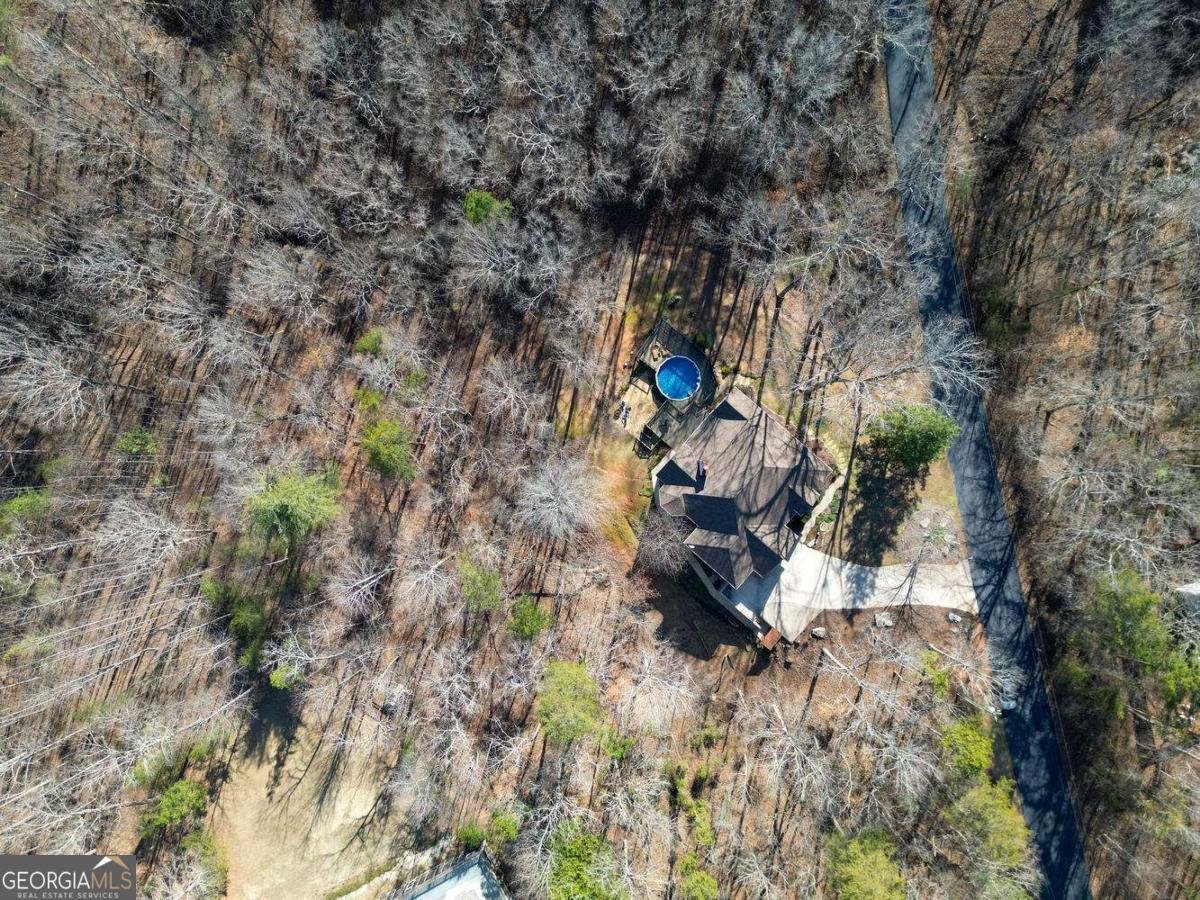 94 DAWSON Drive Dawsonville - Photo 72