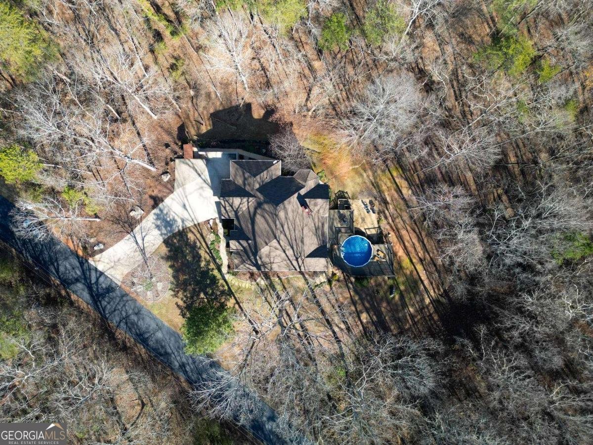 94 DAWSON Drive Dawsonville - Photo 73