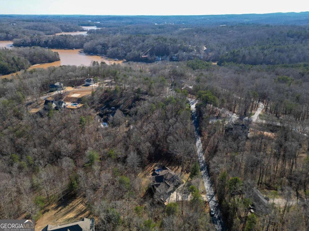 94 DAWSON Drive Dawsonville - Photo 75