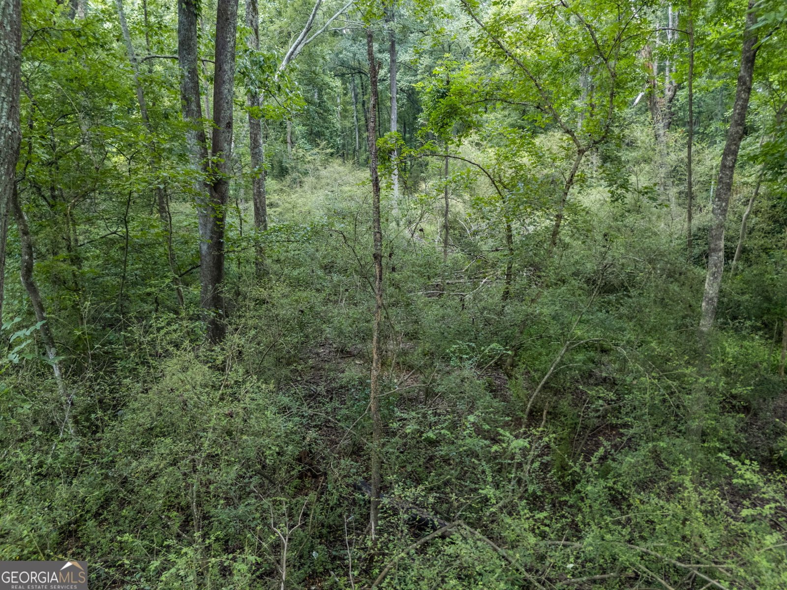 103 Freeman Street Newnan - Photo 11