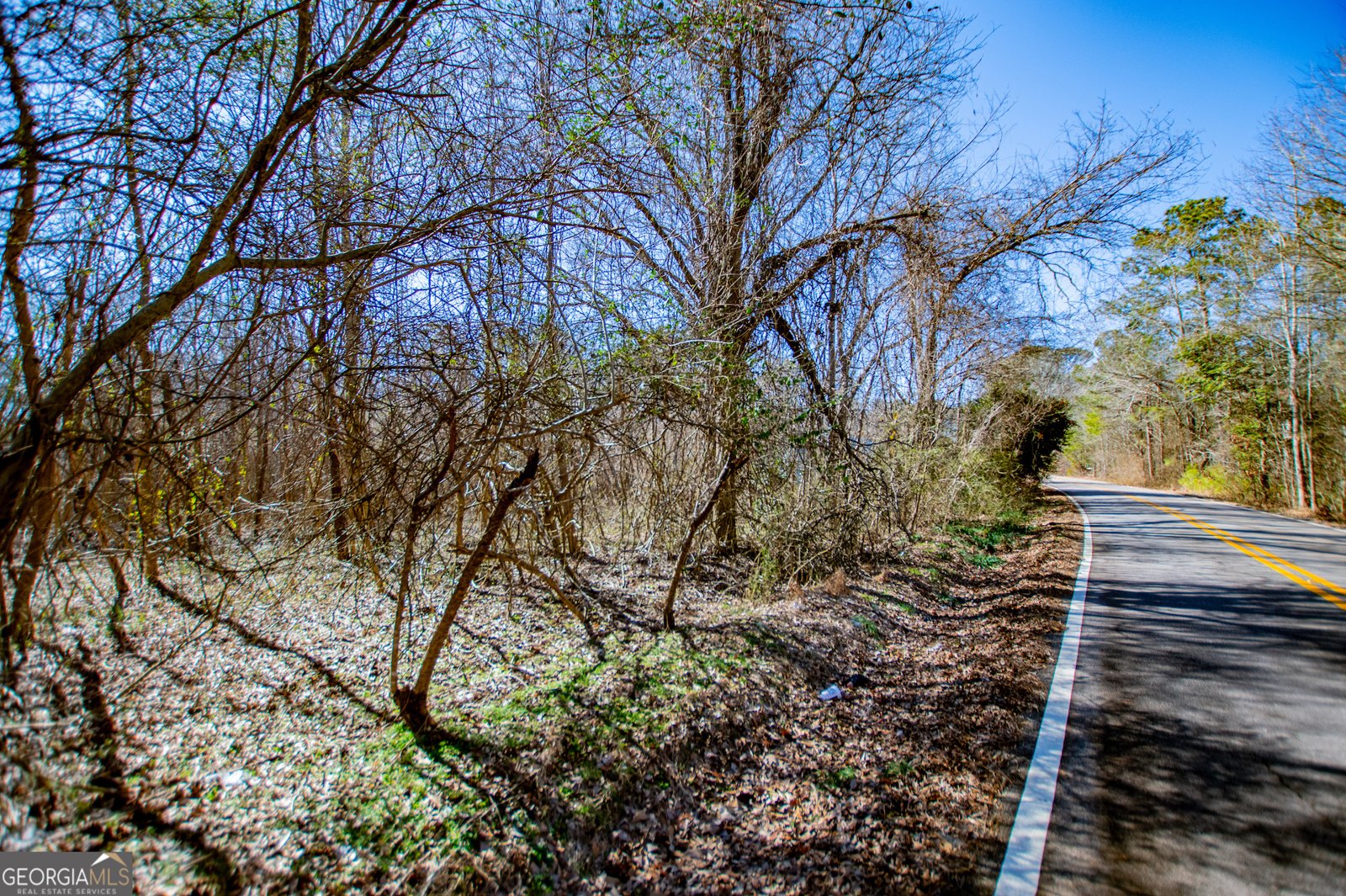 334 Old Bowdon Road Carrollton - Photo 34