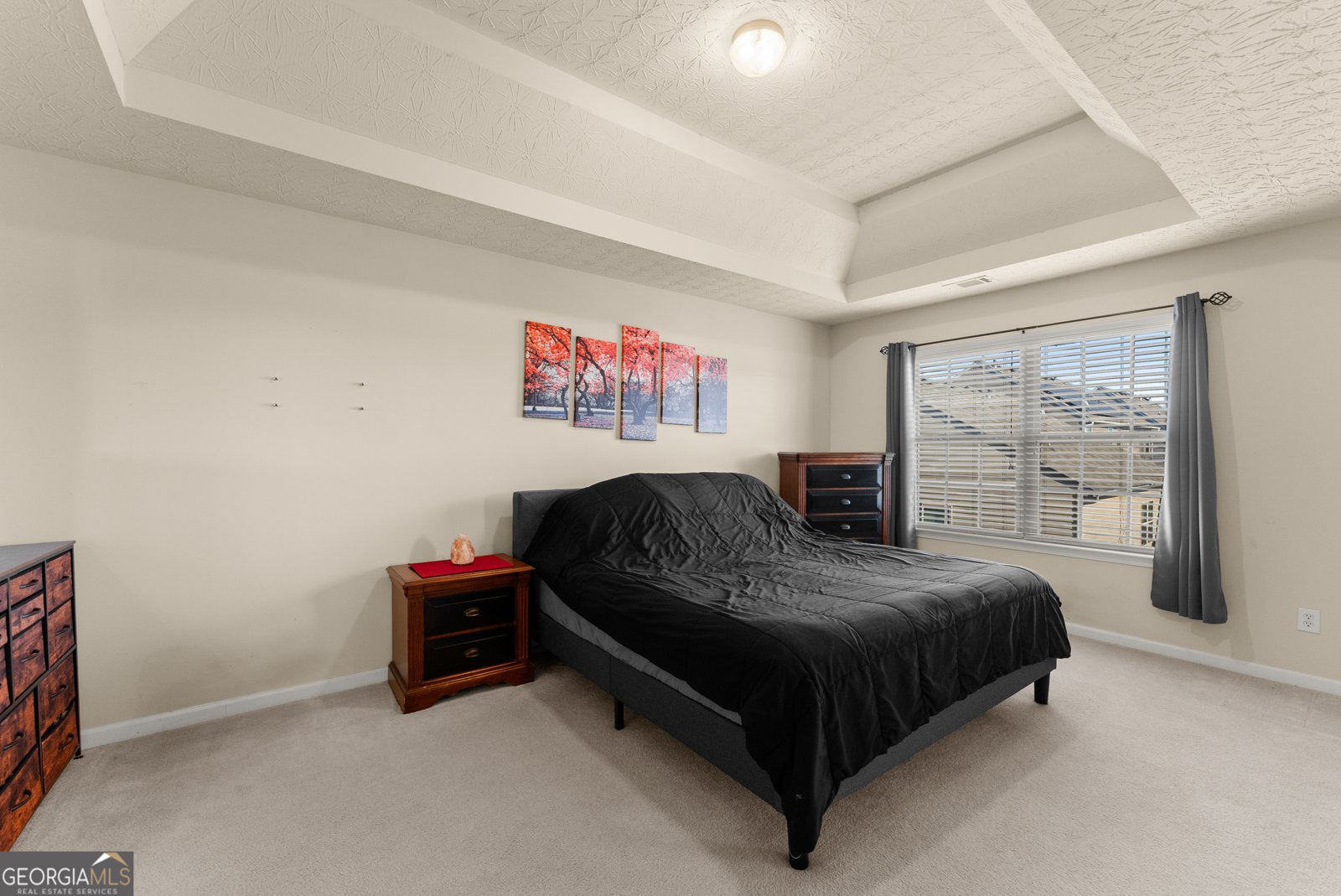 837 Summer Springs Court Pendergrass - Photo 18